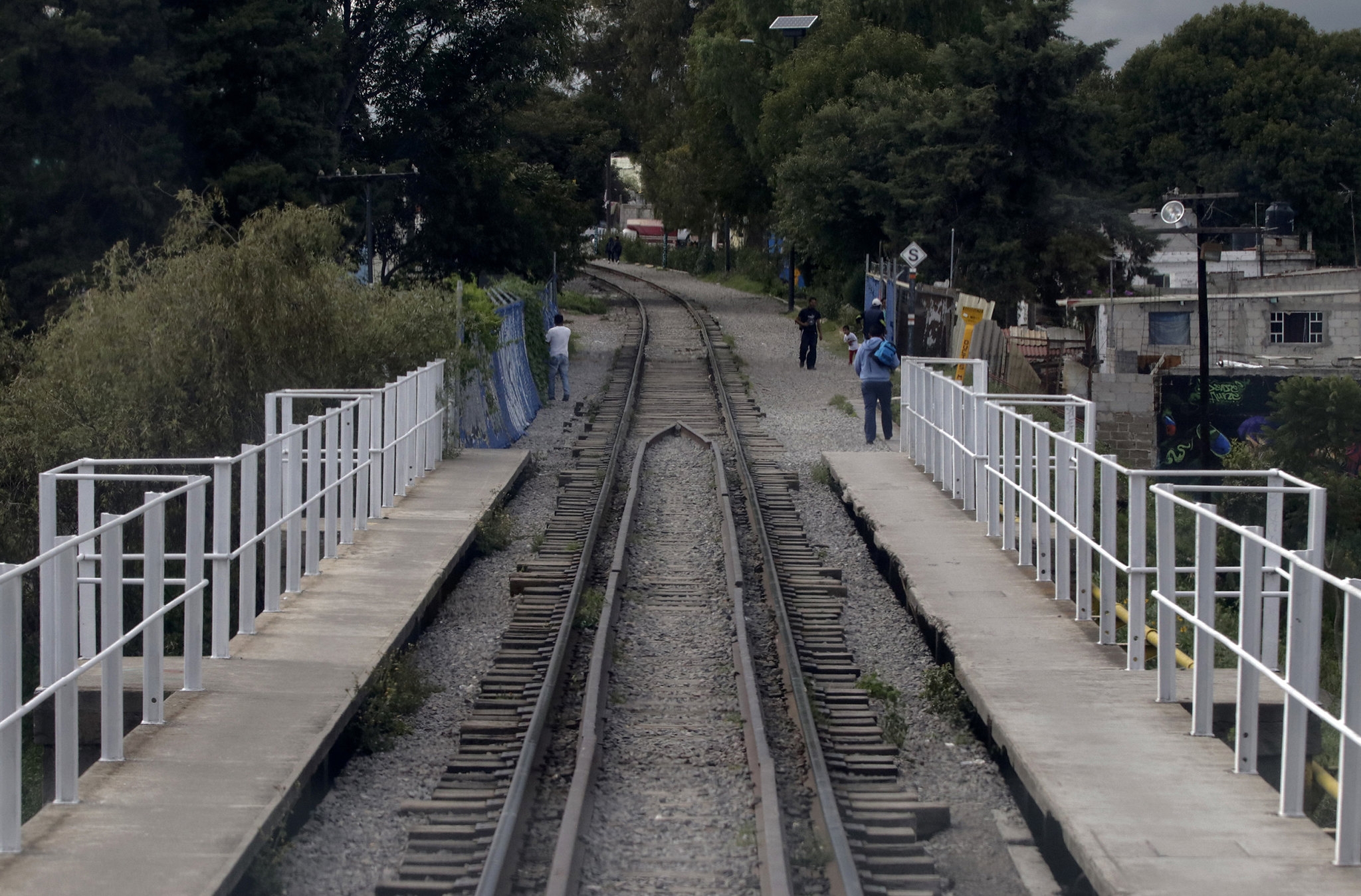 Tren Maya: detonante de desarrollo y prosperidad en el sureste